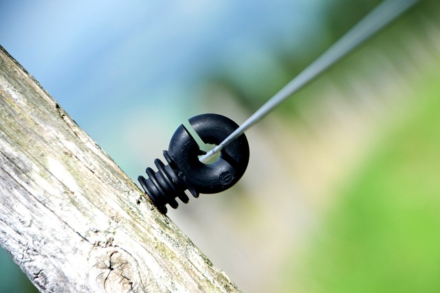 Ile Polaków pracuje w NASA? Ile Polaków pracuje w NASA?