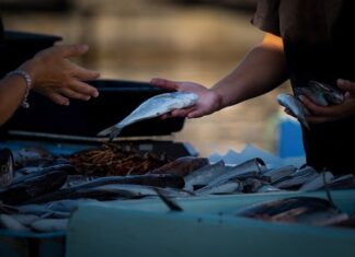 Czy można sprzedawać na blogu?