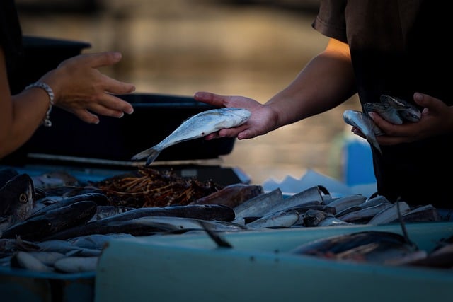 Czy można sprzedawać na blogu? Czy można sprzedawać na blogu?