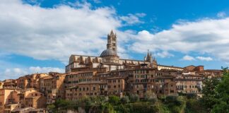 Jakie można wymienić funkcję rozwoju zawodowego?