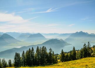 Czy komornik może zająć bitcoina? Czy komornik może zająć bitcoina?