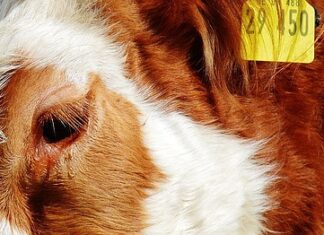 Jak doceniać współpracowników? Jak doceniać współpracowników?