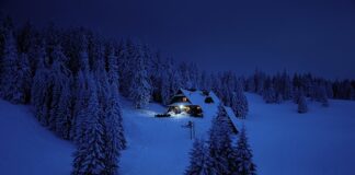 Jaki jest cel marki?