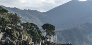 Ile kosztuje system identyfikacji wizualnej?