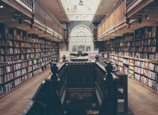 Po kim dziedziczy się inteligencję? Po kim dziedziczy się inteligencję?