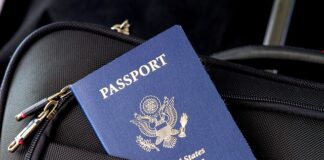 Co się składa na identyfikację wizualną?