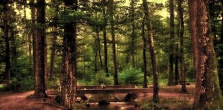 Czy na studiach biologicznych jest matematyka?