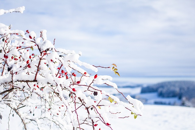Jakie są cechy efektywnych zespołów? Jakie są cechy efektywnych zespołów?