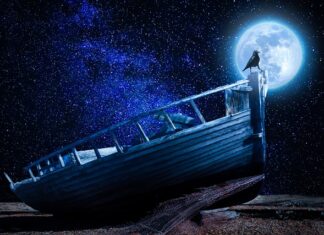 Jaki przedmiot za Podstawy przedsiębiorczości?