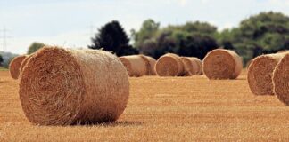 Jaka jest rola pracy w życiu człowieka?