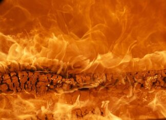 Jak zbudować markę?