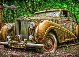 Jakie są marki własne Lidla?