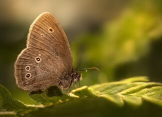 Ile razy w tygodniu jest hit? Ile razy w tygodniu jest hit?