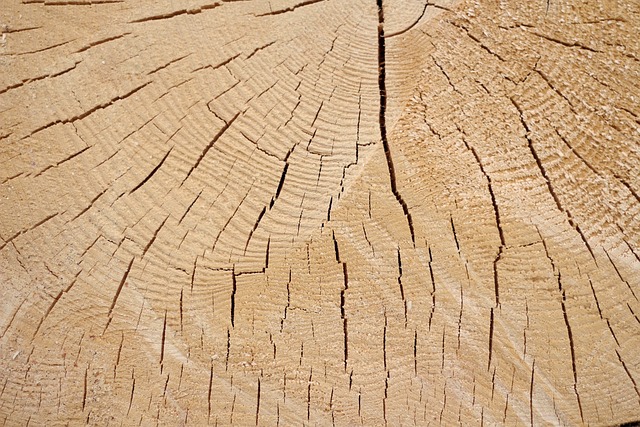 Co to jest loga? Co to jest loga?