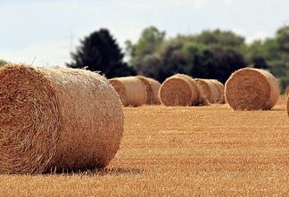Jakie są rolę w zespole? Jakie są rolę w zespole?