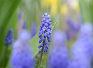 Co wyróżnia markę?