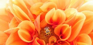 Po czym poznać że grupa jest efektywną?