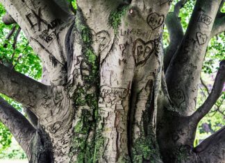 Co to jest utrwalenie wizerunku? Co to jest utrwalenie wizerunku?