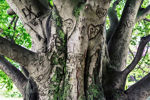 Co to jest utrwalenie wizerunku? Co to jest utrwalenie wizerunku?