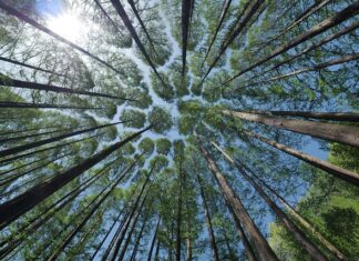 Jak pokonać nieśmiałość w łóżku? Jak pokonać nieśmiałość w łóżku?