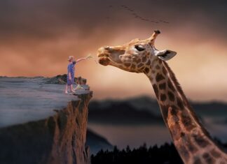 Co to znaczy żyć wiara? Co to znaczy żyć wiara?