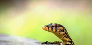 Jak można monitorować pracę w zespole?