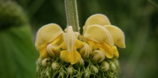 Jak stworzyć brand?