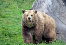 Po czym poznać że chce się spotkać?