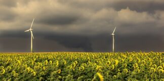 Jaka jest poprawną kolejność faz budowania się zespołu?