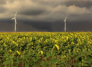 Jaka jest poprawną kolejność faz budowania się zespołu?