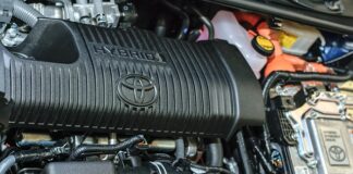 Na czym polega efekt synergii w pracy zespołowej?