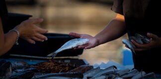 Co się opłaca szyć i sprzedawać?