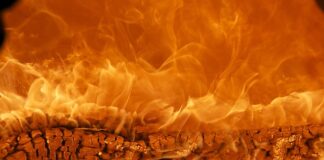 Czym jest marka firmy i jak ją kreować?