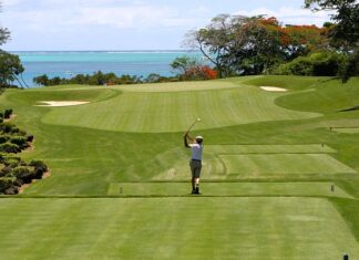 Co zamiast podstaw przedsiębiorczości?