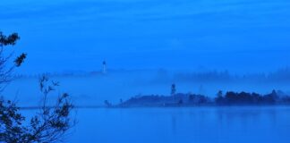 Ile kosztuje wykopanie 1 bitcoina w Polsce?