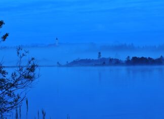 Ile kosztuje wykopanie 1 bitcoina w Polsce?