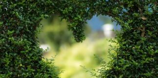 Co to jest zielona biotechnologia?