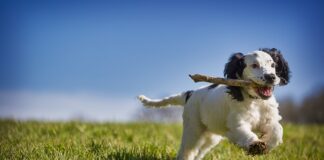 Jak odzyskać chęć do życia?