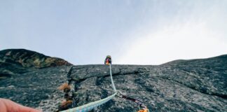 Jak prowadzić zespół?