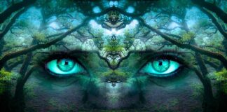 Dlaczego warto budować świadomość marki?