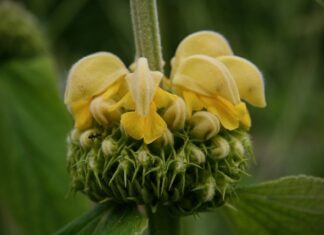 Ile kosztuje brand book?