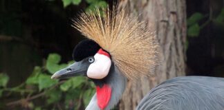 Co zrobić gdy nie ma się na nic ochoty?