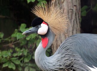 Co zrobić gdy nie ma się na nic ochoty? Co zrobić gdy nie ma się na nic ochoty?