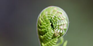 Jak można rozwijać swoją inteligencję?