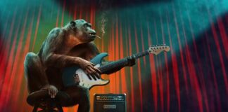 Jakie są etapy rozwoju zespołu?