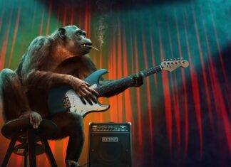 Jakie są etapy rozwoju zespołu?