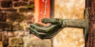 Ile jest funkcji rozwoju zawodowego?