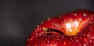 Jakie są korzyści wynikające z dobrej relacji przedsiębiorstwa rzecznika prasowego z mediami?