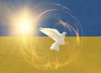 Ile dzieci z Ukrainy może być w jednej klasie?