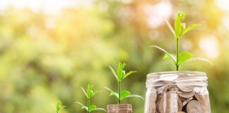 Na jaki biznes jest popyt?